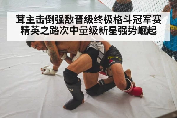 茸主击倒强敌晋级终极格斗冠军赛精英之路次中量级新星强势崛起