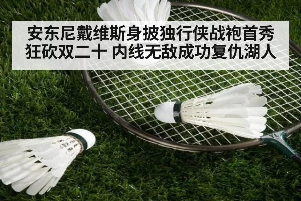 安东尼戴维斯身披独行侠战袍首秀狂砍双二十 内线无敌成功复仇湖人